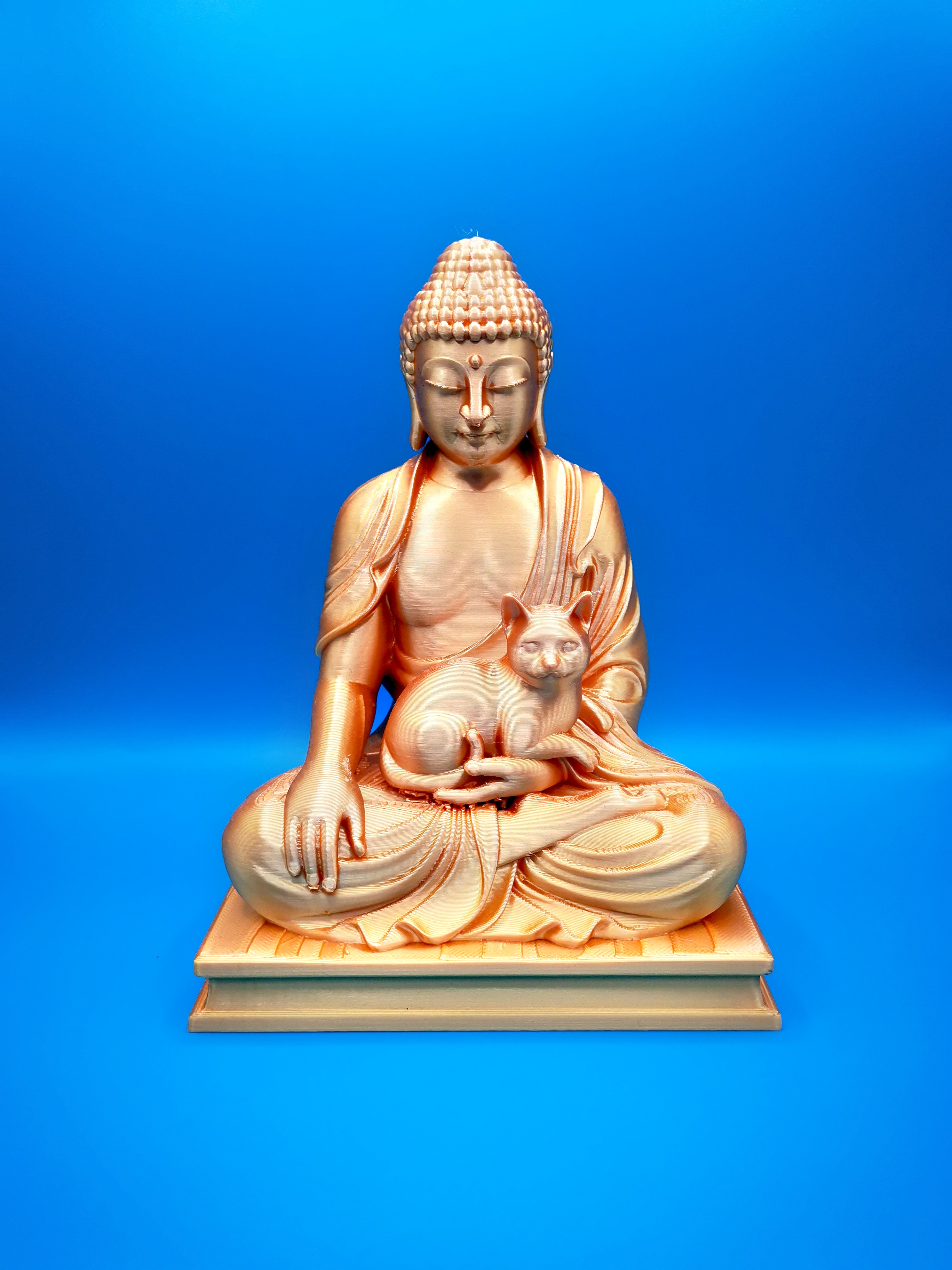 Bouddha avec chat